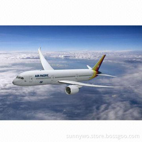 Professional Express Service from China to France